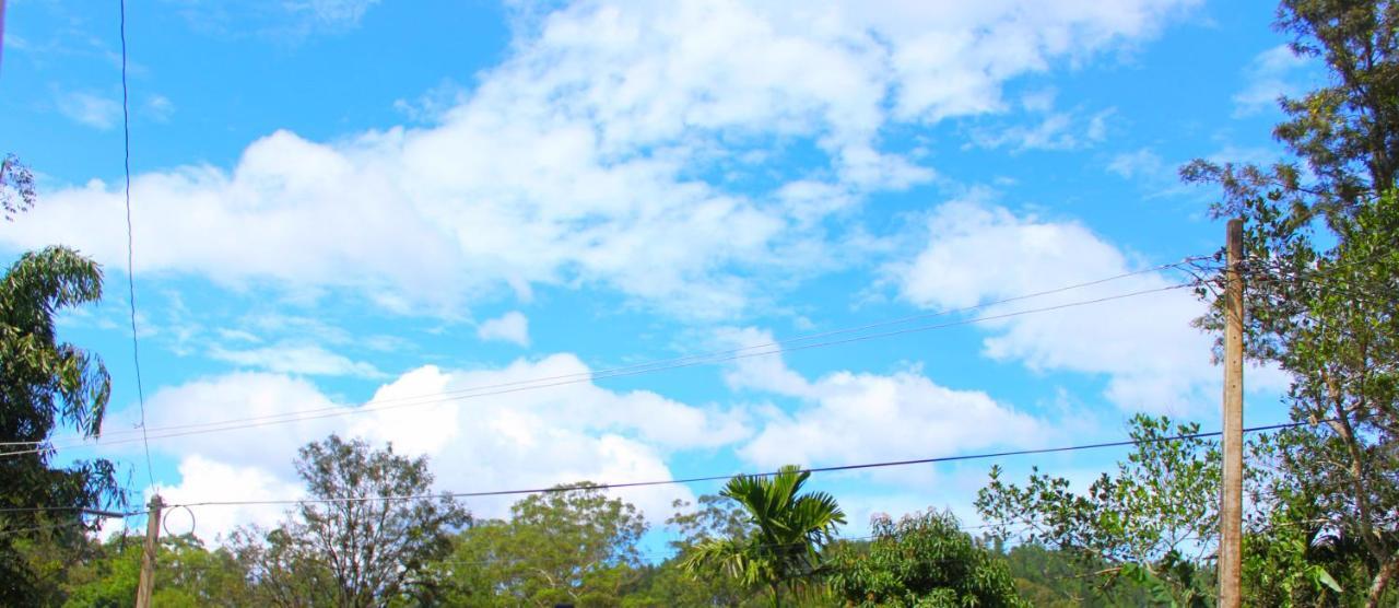 Thilini Homestay Ella Ngoại thất bức ảnh